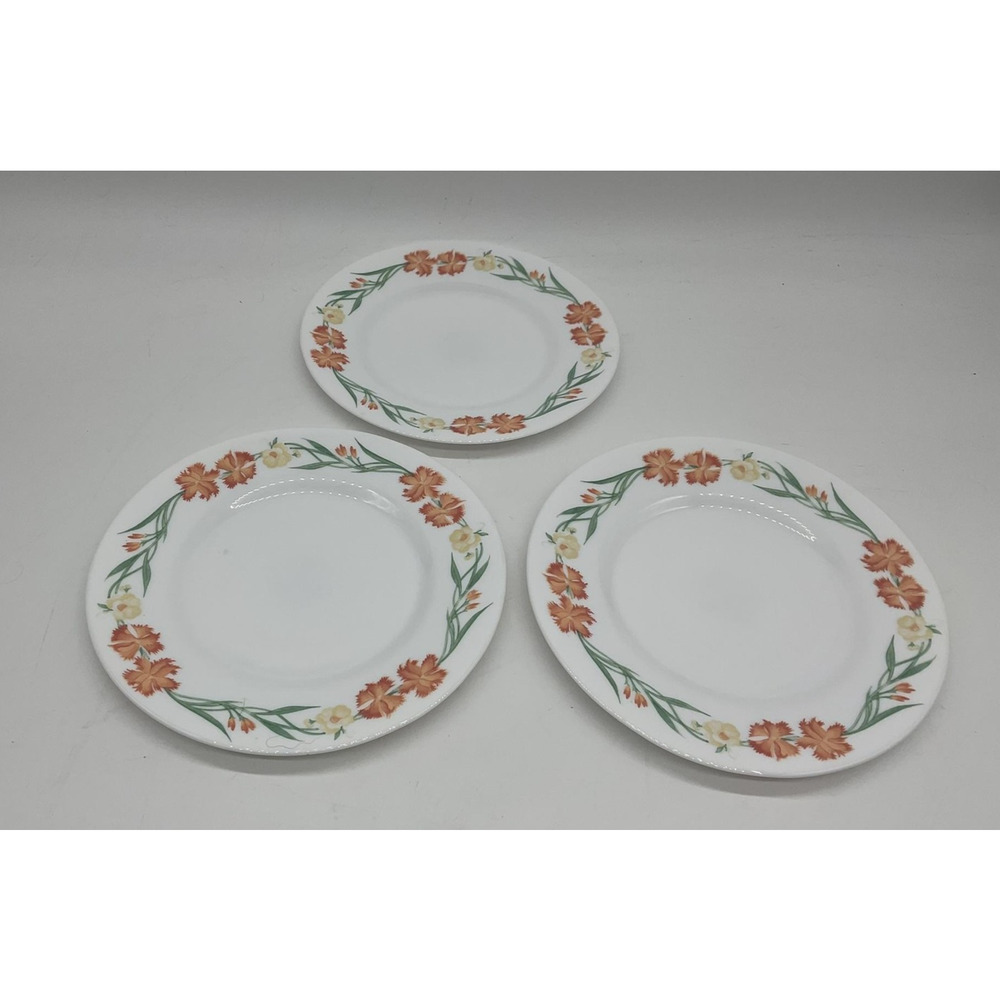Arcopal France Floral Dinner Plates Set Of‎ 3 White Glass Microwave Dishwasher